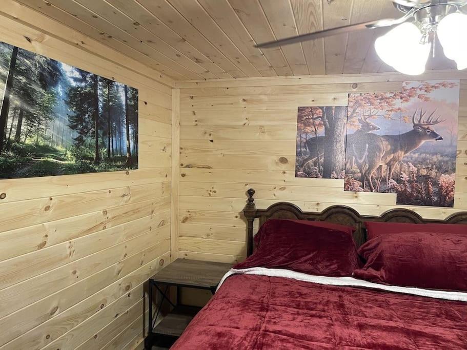 Creekside 3 Bedroom 2 Bath Cabin On Private Creek Banner Elk Eksteriør bilde